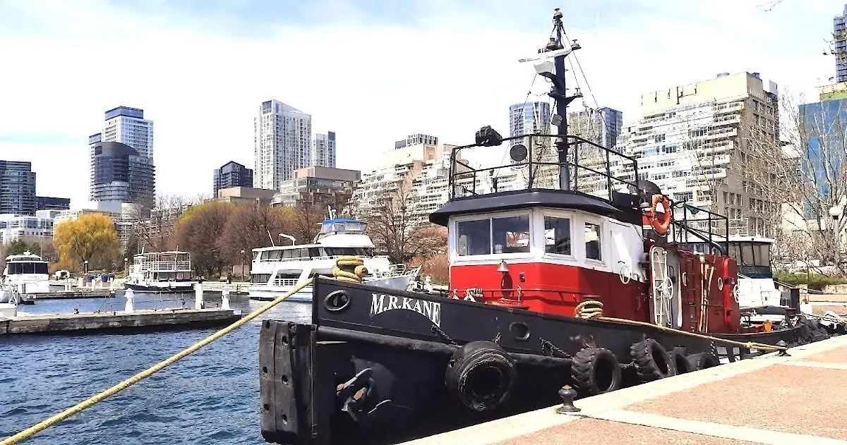 Private Queen Room In Downtown Toronto, Steps To Subway & Cn Tower Τορόντο